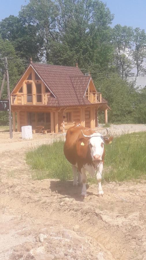 Nad Termami Villa Dzianisz Exterior foto